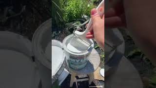 How to Repair a Bird Bath with DRYLOK® Waterproofer