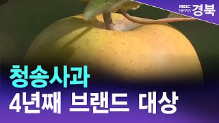 '청송사과' 14년, '산소카페 청송' 4년째 브랜드 대상 / 안동MBC