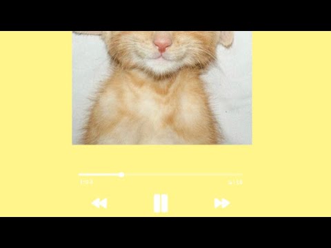 Happy Little Playlist Happy Little Cat Youtube Music
