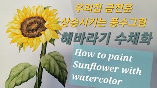 우리집 풍수그림/해바라기 수채화 How to paint lovely sunflower with watercolor/tutorial