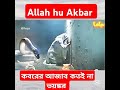 কবরের আজাব কতই না ভয়ঙ্কর islamicshorts viralvideo koborer_ajab islamicrecitation foryou