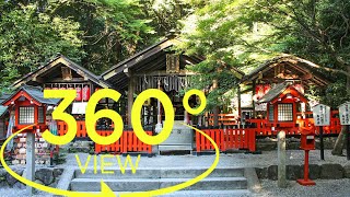 [360°Video(VR)] Nonomiya Shrine Kyoto / 野宮神社 嵐山 京都