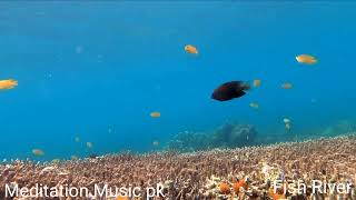 Meditation Music Relaxing nature River Fish Ander water soothing sounds beautiful.. by meditate