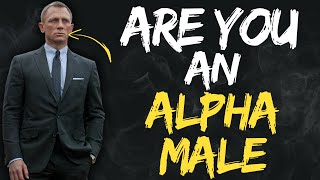 The Alpha Male Quiz: 14 Signs You Are An Alpha Male