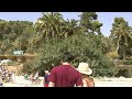 アキーラさん訪問⑨スペイン・バルセロナ・グエル公園 guell park barcelona spain