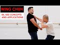 Wing Chun - Bil Gee Applications  - Kung Fu Report #262