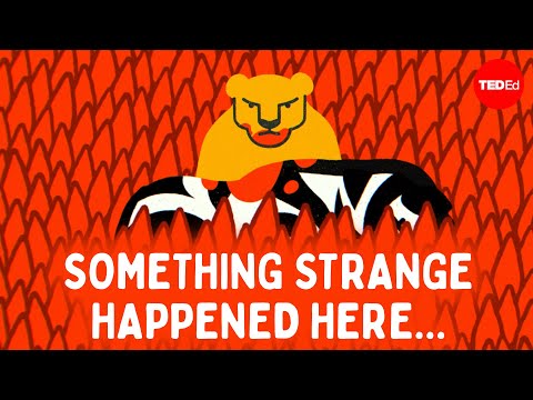 How Do Tornadoes Form James Spann Ted Ed