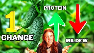 This ONE Nutrient Increases Protein In Vegetables