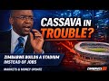 Masiyiwa’s Cassava Under Pressure The Real Financial Turnaround Explained