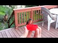 hand feeding hummingbirds