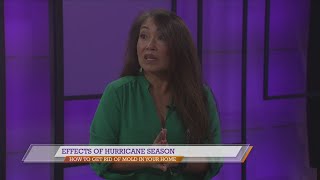 BBB of East Texas talks about getting rid of mold in your home