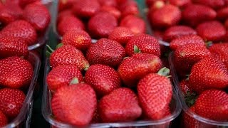 Moroccan farmers display harvest at annual strawberry festival