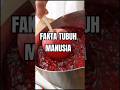 FAKTA BAGIAN TUBUH MANUSIA YANG UNIK #fakta #info #faktamenarik #amazing #faktadunia #faktamanusia