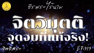 จิตวิมุตติ จุดจบที่แท้จริง! By ธีร พระไร้นาม EP:313