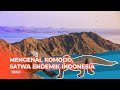 Serba-serbi Komodo, Satwa Langka yang Dilindungi