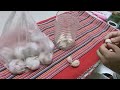 making laba garlic a traditional chinese dish for the spring festival