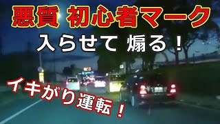 迷惑運転者たち　No.1391　悪質　初心者マーク・・入らせて　煽る！・・【トレーラー】【車載カメラ】イキがり運転！・・