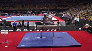 Jake Brodarzon - Pommel Horse – 2018 U.S. Gymnastics Championships – Senior Men Day 1