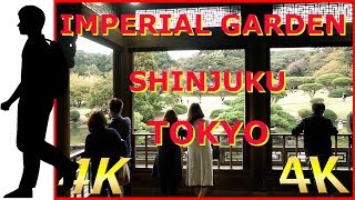 34. SHINJUKU GYOEN, SHINJUKU IMPERIAL PARK, TOKYO【4K】新宿御苑