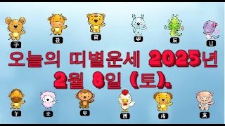 오늘의 띠별운세 2025년 2월 8일 (토).