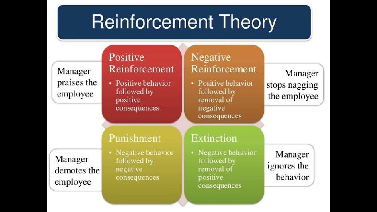 Skinner's Reinforcement Theory Of Motivation - YouTube