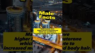 Male Facts #1