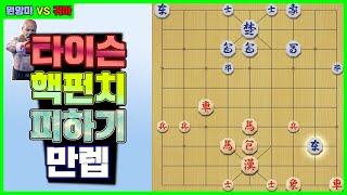 [프로 vs 프로] 타이슨 핵펀치 피하기 만렙