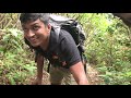 knuckles five peaks camping🏕 මීදුමෙන් වැසෙන කදු මුදුනක කදවුරු බදින්න knuckles range gima bro