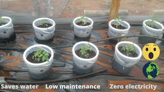 The BEST self watering wicking buckets - Hydroponics