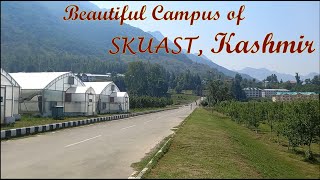 Campus Tour of SKUAST Kashmir (Sher-e-Kashmir University of Agricultural Sciences \u0026Technology)