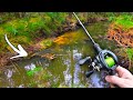 fishing in this TINY CREEK is ADDICTIVE | BFS fishing the creeks (spring is here!)