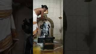 ஸ்ரீ உச்சிஷ்ட மஹா கணபதி அபிஷேகம் #sathurthi #உச்சிஷ்டகணபதி #sivagangai #chokkanathapuram