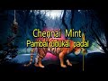 chennai mint pambai udukai padal