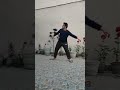 Code With Harry - Srivalli Dance😂 | #codewithharry #code #harry
