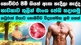 භාවනාව තුලින් ඇඟ හදාගන්න රහස මෙන්න | How To Build Your Muscles With Meditation