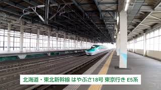 北海道・東北新幹線 はやぶさ18号 東京行き E5系と秋田新幹線 こまち18号 東京行き E6系 2022.11.13