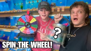 SPIN THE WHEEL AQUARIUM Build CHALLENGE!! Ft: @colsonscritters