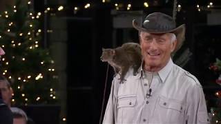 Jack Hanna’s Into the Wildlights 2019