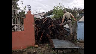 HHS Secretary Tom Price resigns and Puerto Rico slowly responds after hurricane