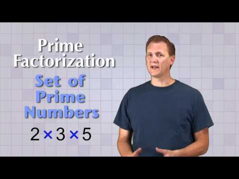 Math Antics - Prime Factorization Math Antics - Prime Factorization