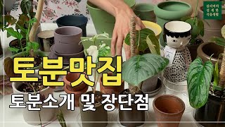 식집사의 토분 브랜드 소개와 장단점🪴 (카네즈센, 블리스볼, 두갸르송, 베르그포터 등)