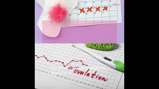What Is Ovulation and When Does It Happen?