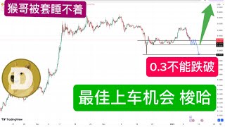 DOGE最新预测显示，0.33能否撑住？还会再次回踩0.26吗？精准预测狗狗币（Dogecoin），猴哥0.39进场翻车了。快点梭哈，给你上车机会要珍惜！即将创下历史新高，狗狗币第二波目标价预测2美金