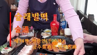 술通 제34편 – 천산연(千山缘)