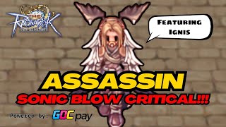 BUILD ASSASSIN SONIC BLOW CRITICAL ‼ SATU-SATUNYA YG BISA MAIN ELEMEN POISON ⁉ The Ragnarok SEA