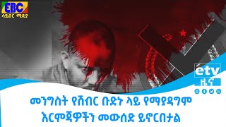 መንግስት የሽብር ቡድኑ ላይ የማያዳግም እርምጃዎችን መውሰድ ይኖርበታል Etv | Ethiopia | News