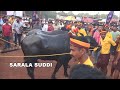 ಪುತ್ತೂರು ಕಂಬಳದಲ್ಲಿ ರೋಚಕ saralasuddi kambala puttur kambala