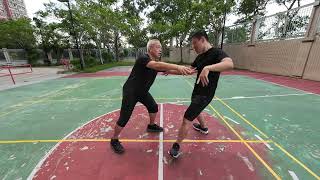 太極自由推手訓練 Tai Chi Free Pushing Hands Training 2024年10月19日