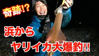 【開始1投で釣れる】エギンガー必見！！絶品ヤリイカ大爆釣！！熱すぎる真冬の釣り