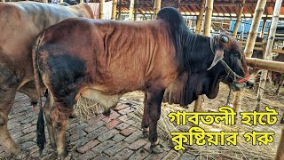 গাবতলী হাটের আবু বক্কর ভাই কাম ফ্রম কুষ্টিয়া - গরুর ফিক্সড প্রাইজ বলে নিজের নাম্বার দিয়ে দিলো 😯😯😯